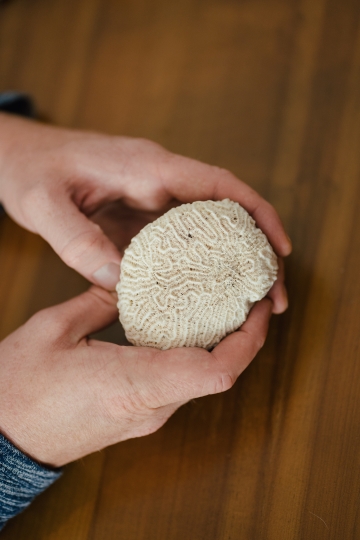 Finiaweise-Beratung-Gestalttherapie-Stein